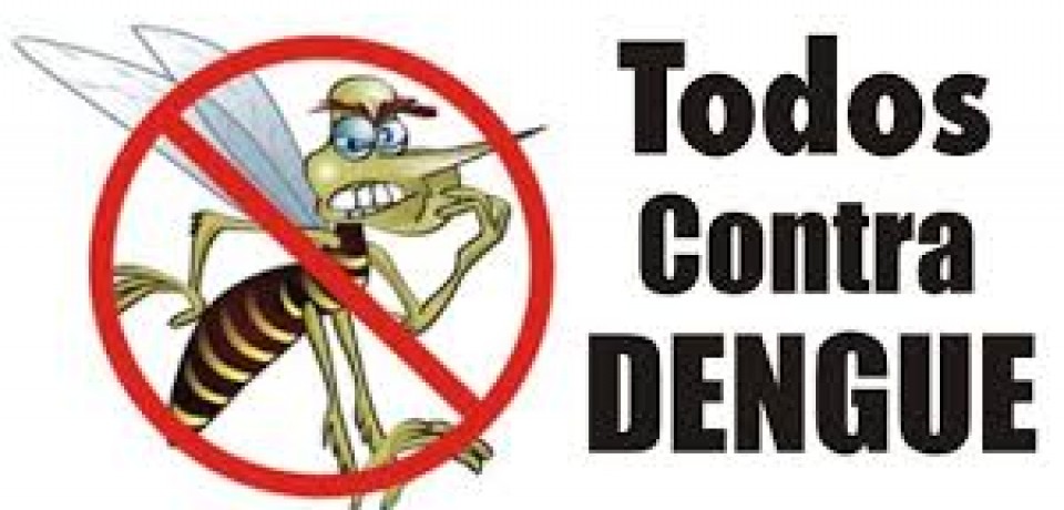 A cidade contra o Aedes aegypti.