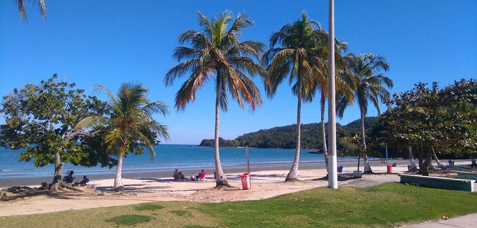 São Sebastião terá Base de Estabilização para animais marinhos na Praia Grande