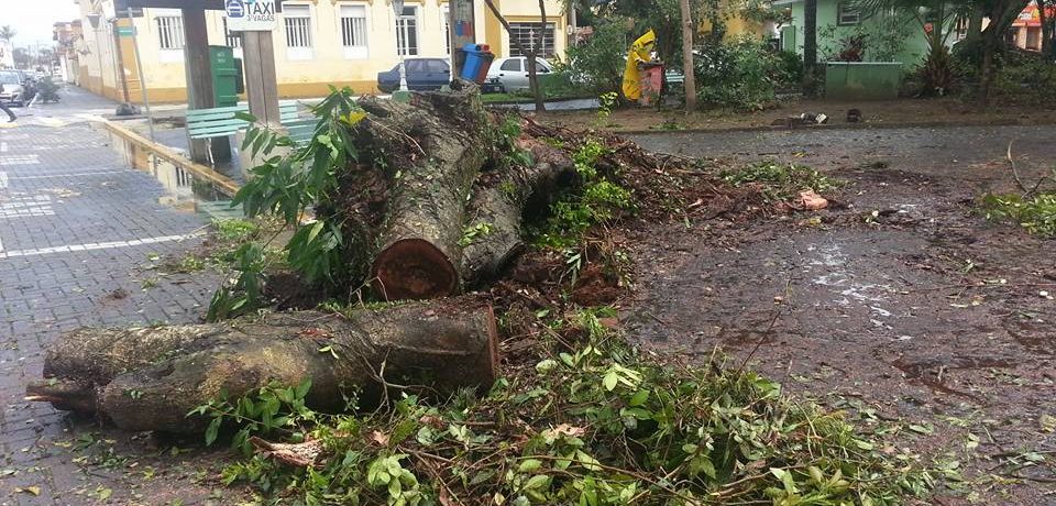 Chuva, ventania e estragos atingem Litoral Norte.