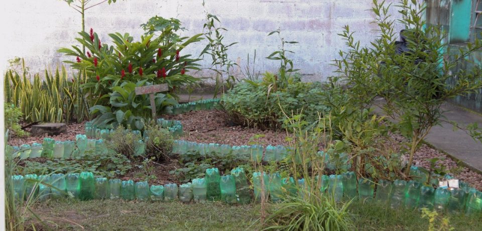 Horta comunitária da Topolândia recebe reforma e incentivo