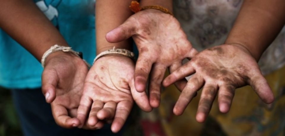 Fórum de prevenção ao trabalho infantil acontece em São Sebastião