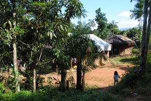 SSSilveiras-300x201 Prefeitura apresenta projeto a órgão estadual com objetivo de promover manejo sustentável de frutos da palmeira Juçara