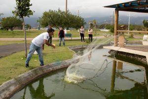 SSLago2-300x200 Prefeitura realiza limpeza no espelho d’água do Observatório Municipal