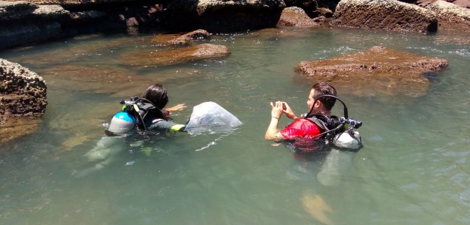 Terra Viva faz  lançamento de  garoupas nas encostas marinhas de Ilhabela