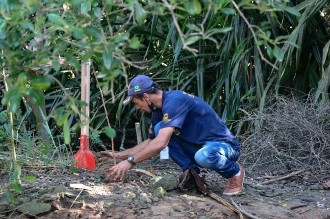 Exped2 Expedição Educacional e plantio de mudas marcam Dia Mundial de Proteção aos Manguezais